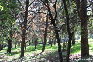 Parco Angelo D Arrigo